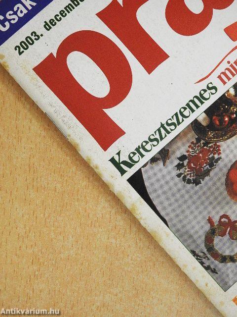 Praktika 2002-2004. (vegyes számok) (13 db)