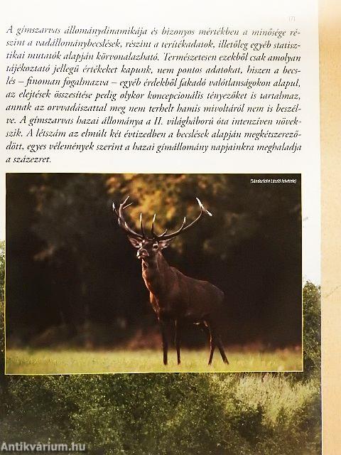 Magasles 2011. szeptember