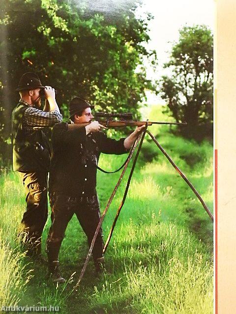 Magasles 2011. szeptember