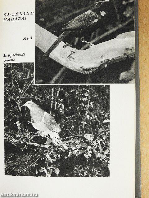 Hosszú fehér felhő