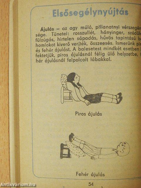 Kisdobosok zsebkönyve 1987/88