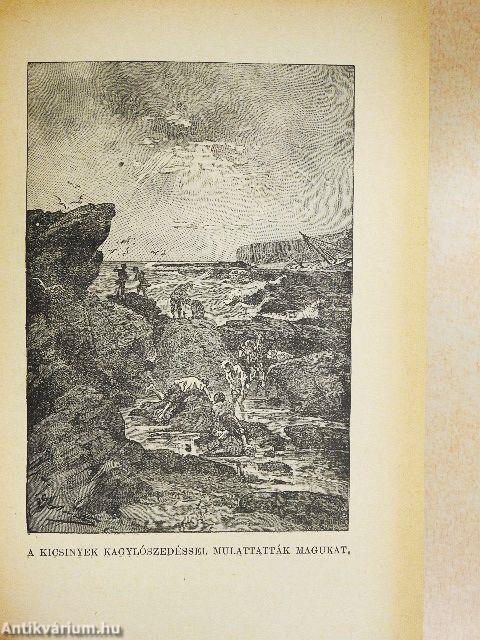 Két évi vakáció I-II.