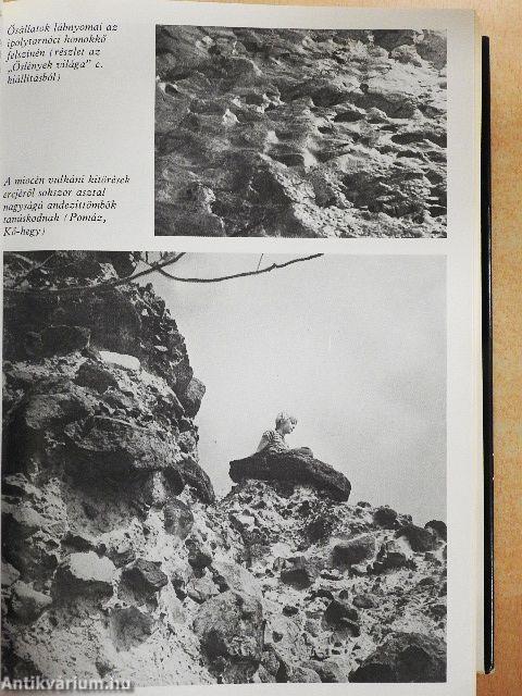 Évmilliók emlékei