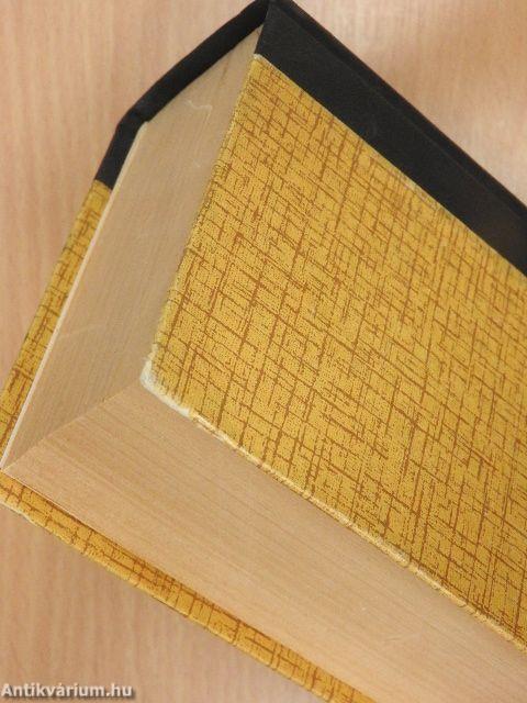 A nagy remények kora I-II.