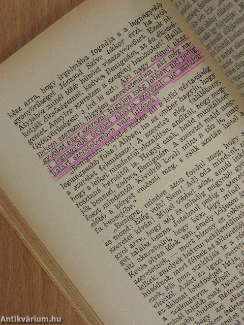 Ferrero Mária Benigna Consolata nővér élete