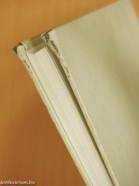 Forschungen in Ephesos VI