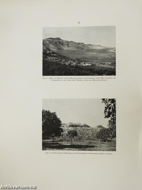 Forschungen in Ephesos VI