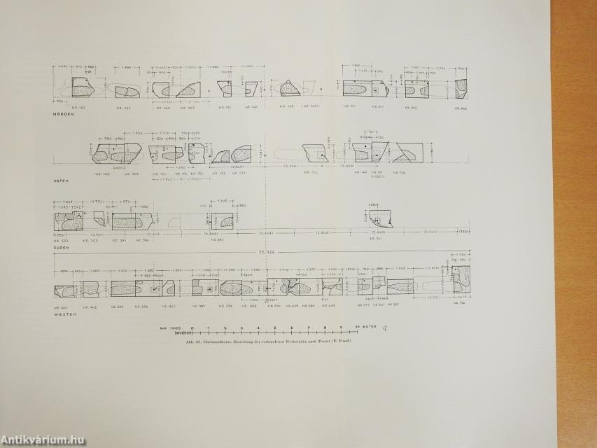 Forschungen in Ephesos VI