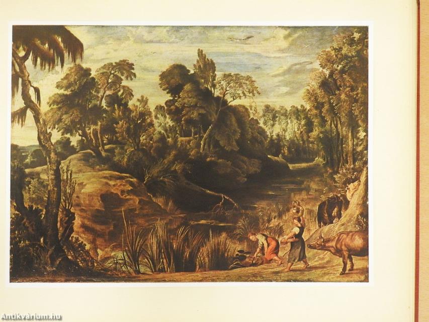 Die Landschaften von Peter Paul Rubens