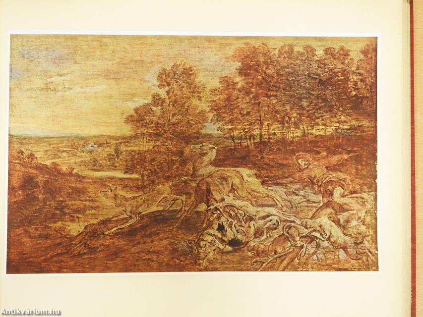 Die Landschaften von Peter Paul Rubens