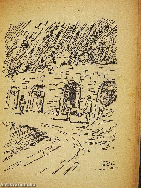 Egy sebészorvos hősi élete I-II.