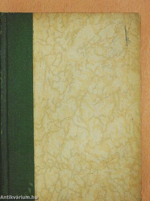 Asszony a nagybőgőben