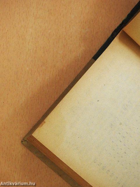 Asszony a nagybőgőben