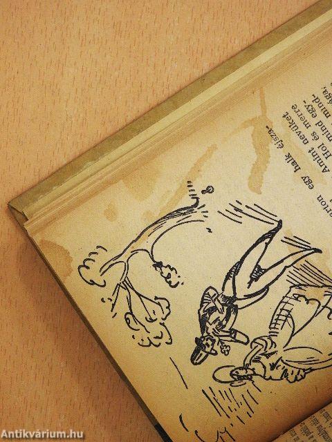 Asszony a nagybőgőben