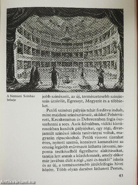 Így élt a szabadságharc költője