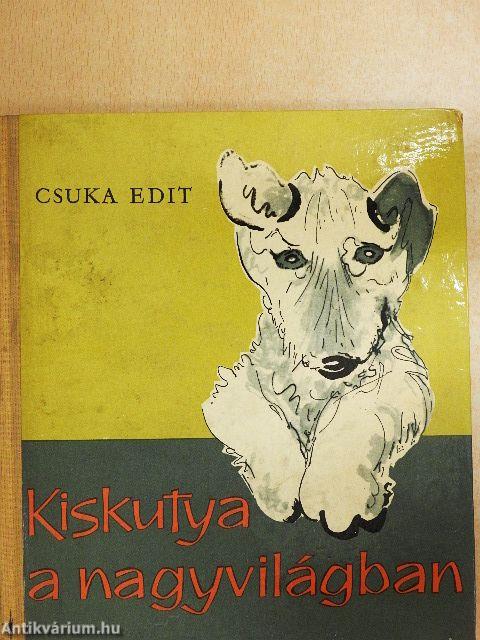 Kiskutya a nagyvilágban