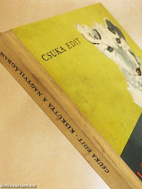 Kiskutya a nagyvilágban