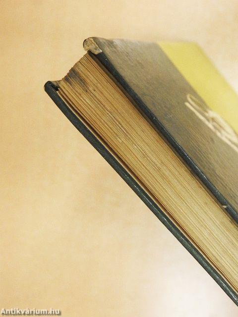 Kiskutya a nagyvilágban