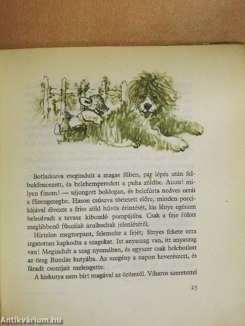 Kiskutya a nagyvilágban