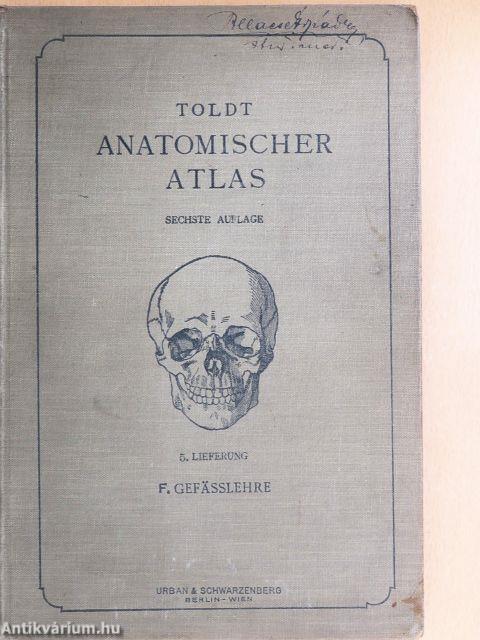 Anatomischer Atlas für Studierende und Ärzte V.