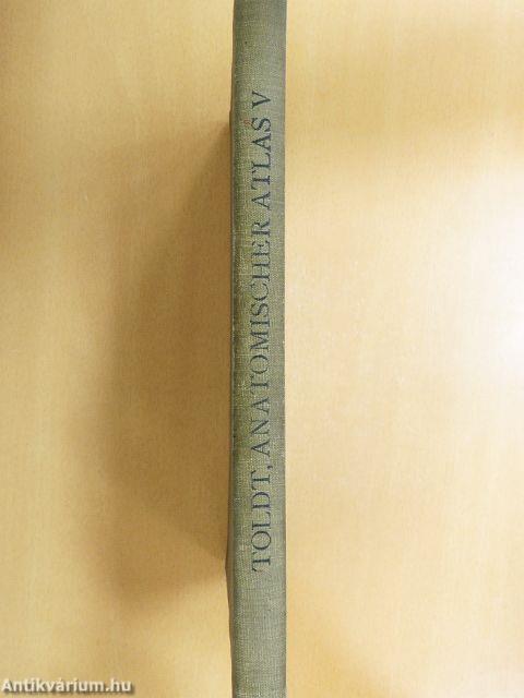 Anatomischer Atlas für Studierende und Ärzte V.
