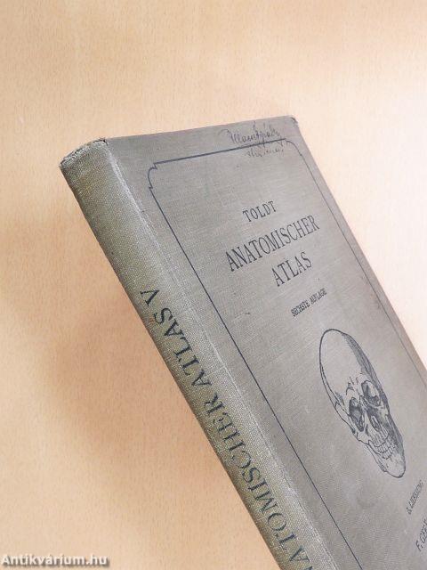 Anatomischer Atlas für Studierende und Ärzte V.
