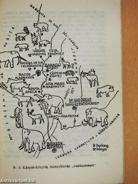 Őslények nyomában (dedikált példány)