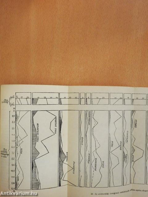 Őslények nyomában (dedikált példány)