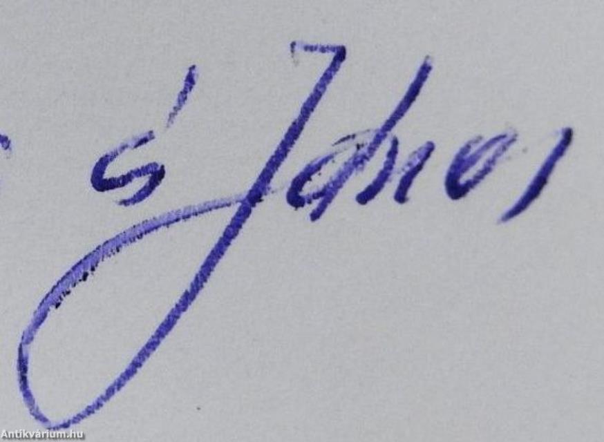 Betyárvilág Antológia 2020 (kétszeresen dedikált példány)