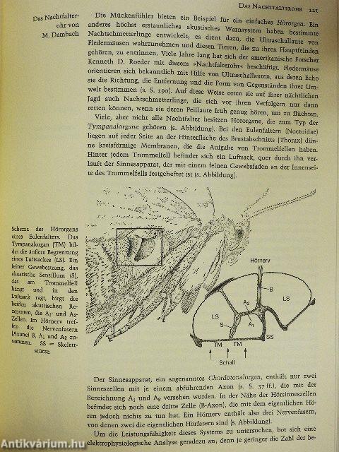 Grzimeks Tierleben - Verhaltensforschung