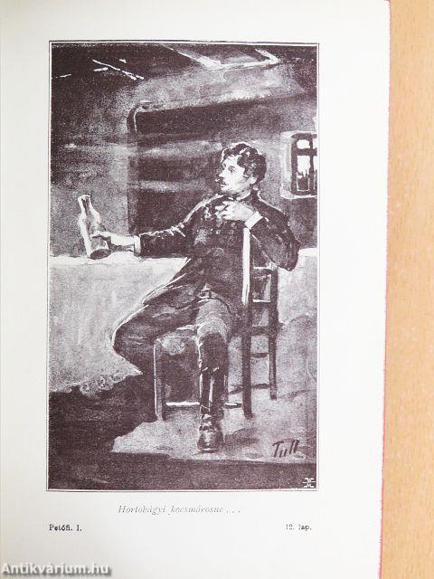 Remekírók Képes Könyvtára 1-50.