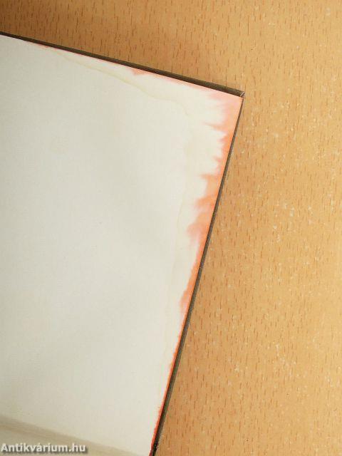 Remekírók Képes Könyvtára 1-50.