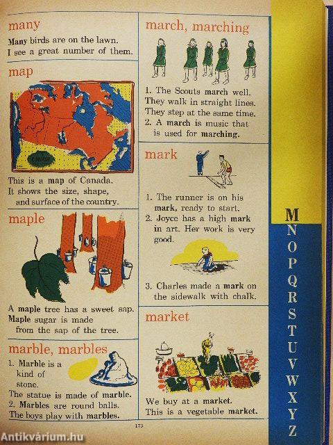 The Giant Picture Dictionary for boys and girls