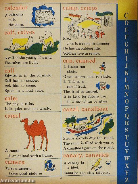 The Giant Picture Dictionary for boys and girls