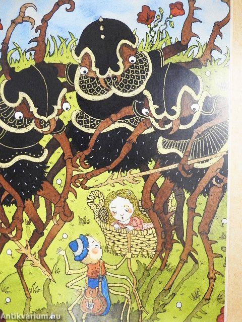 Gombi, a pókból lett tündérfiú