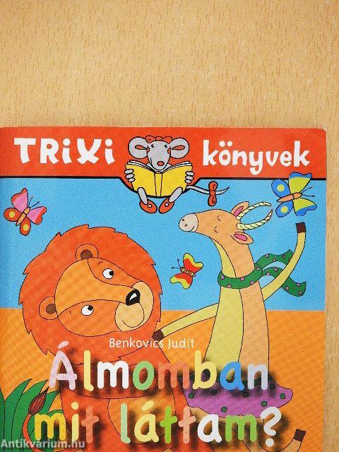 Álmomban mit láttam?