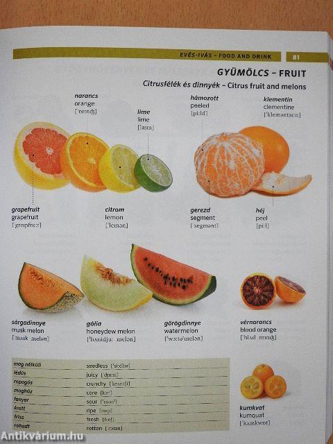 PONS Képes szótár - Angol-magyar