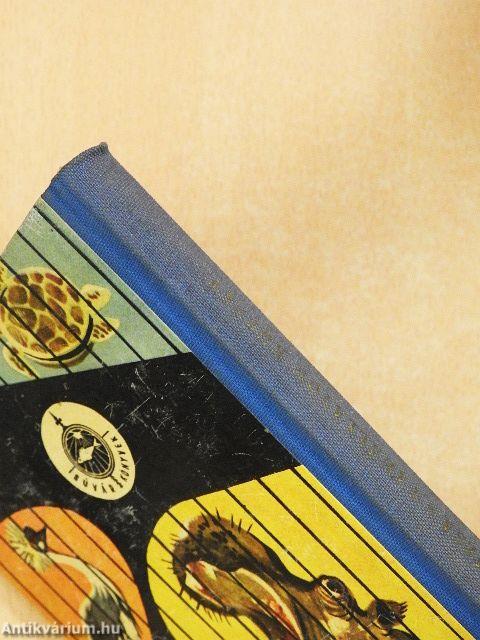 Vadállatok között