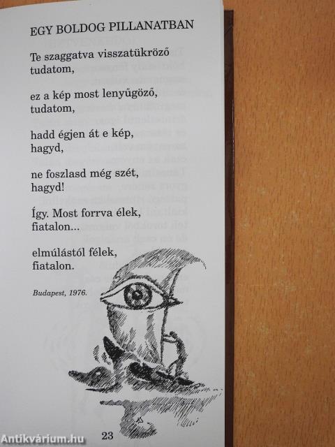 Reménnyel bevérzett (aláírt példány)