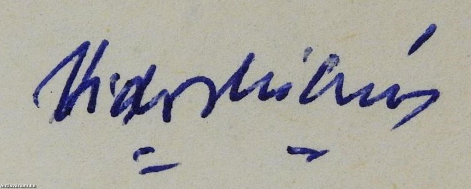 Gyalog a sakktáblán (dedikált példány)