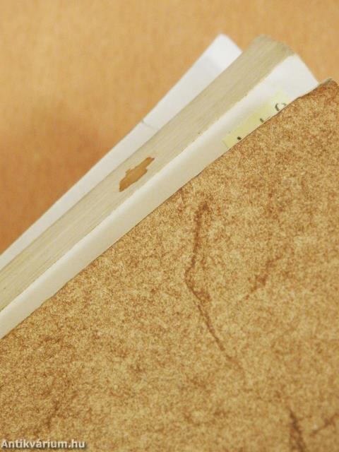 A filozófia: kritika (dedikált példány)