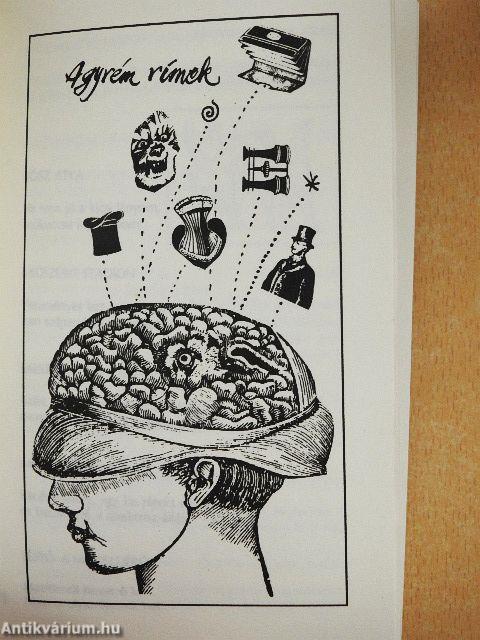 Válogatott agyrémeim