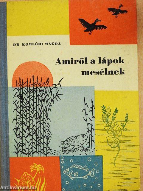 Amiről a lápok mesélnek