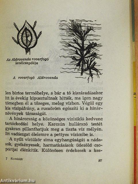 Amiről a lápok mesélnek