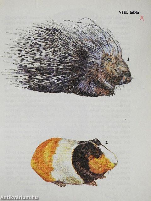 Állatkerti emlősök