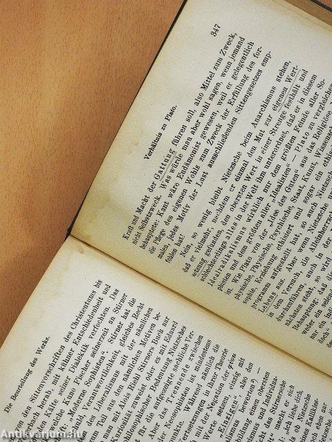 Friedrich Nietzsche sein Leben und sein Werk