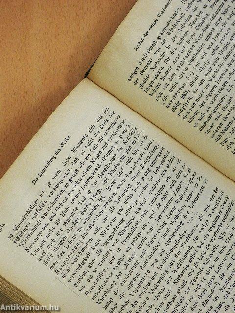 Friedrich Nietzsche sein Leben und sein Werk