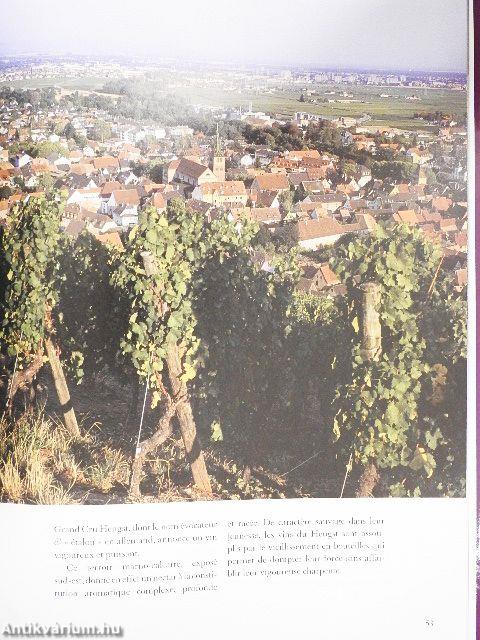 Vins d'Alsace