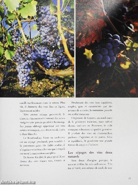 Vins du Languedoc-Roussillon