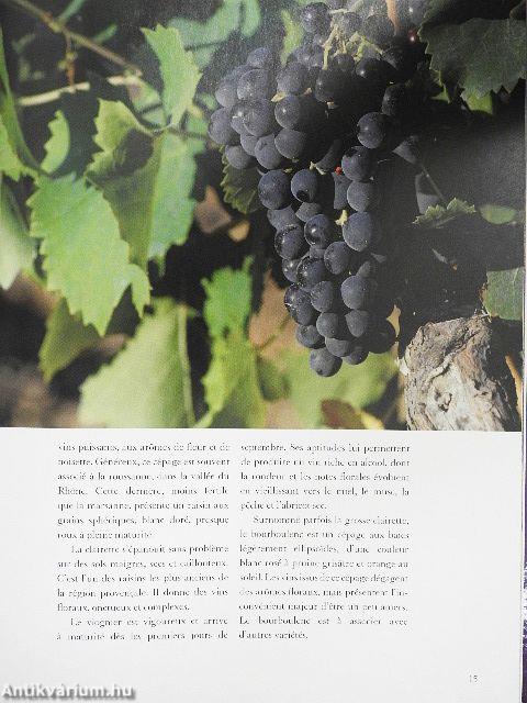 Vins de la Vallée du Rhone